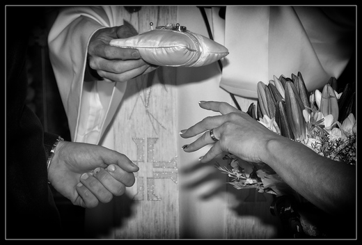 DSC_5987a.jpg